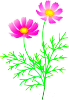 a0105570_2293445.gif