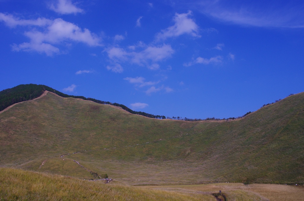 a0142976_16305857.jpg