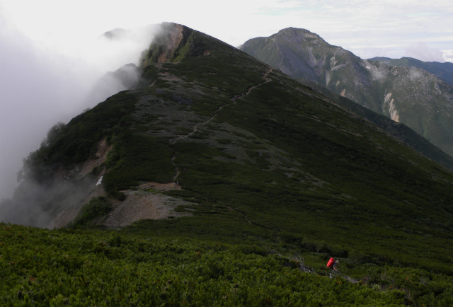 d0245378_5411276.jpg