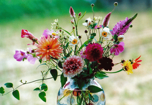 b0159780_1203629.gif
