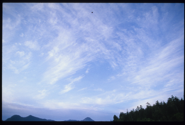 a0053783_22125745.jpg