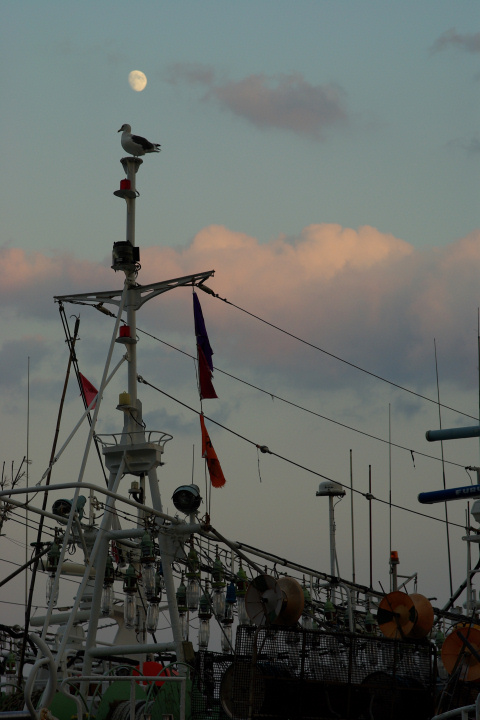 e0051186_20124323.jpg