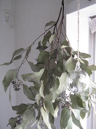 c0178588_20445011.jpg