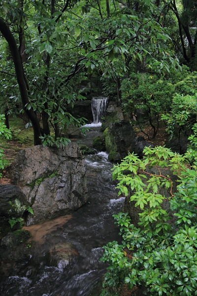 e0051888_23461655.jpg