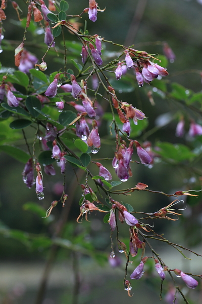 e0051888_23485115.jpg