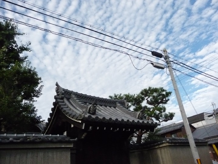 c0108693_7271170.jpg
