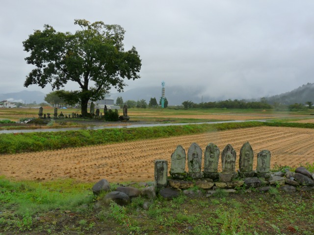 e0202393_559018.jpg