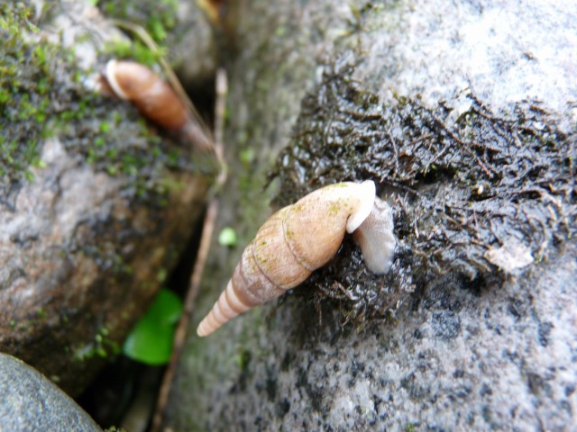 e0202393_559381.jpg