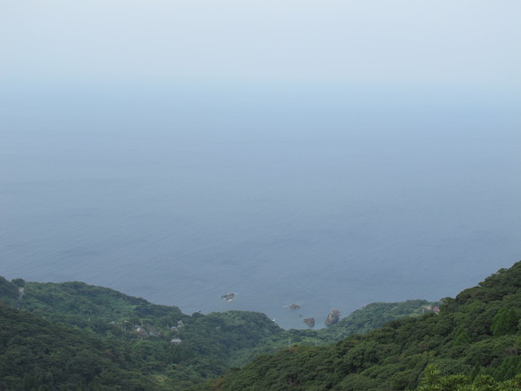 a0166196_12485041.jpg