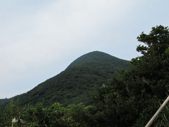a0166196_1324432.jpg