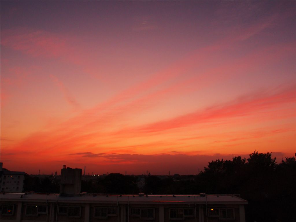 f0224100_715321.jpg