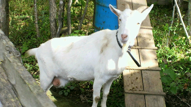 b0035611_19211082.jpg