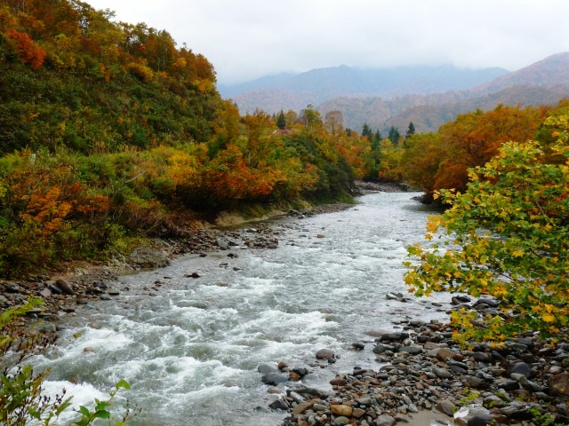 d0205917_45681.jpg