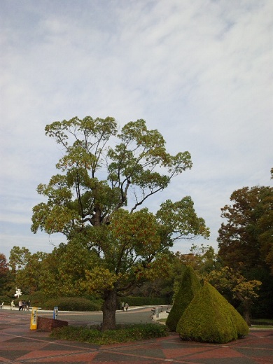 b0199924_15134166.jpg