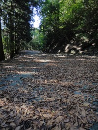 c0189724_2271464.jpg