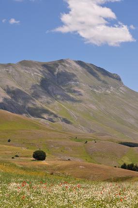 b0129725_20454894.jpg