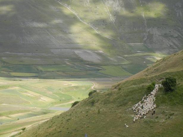 b0129725_21152789.jpg
