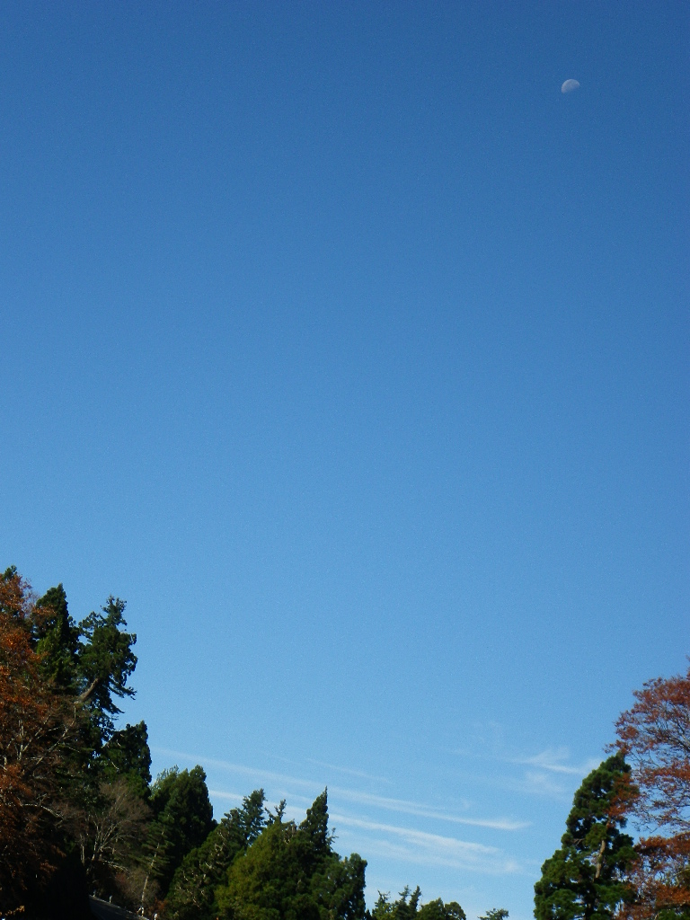 a0119132_17431322.jpg