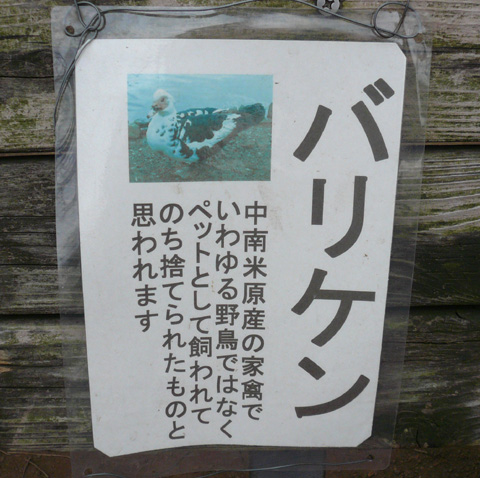 e0029132_1241141.jpg