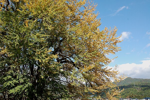 f0118332_12434255.jpg