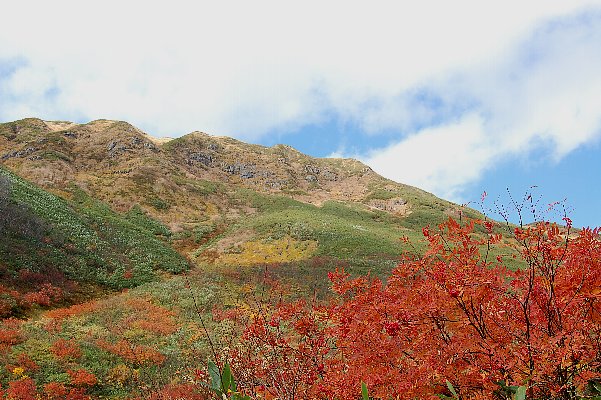 f0118332_1249182.jpg