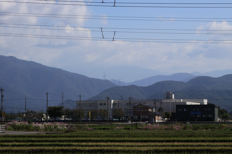 b0177233_4574199.jpg