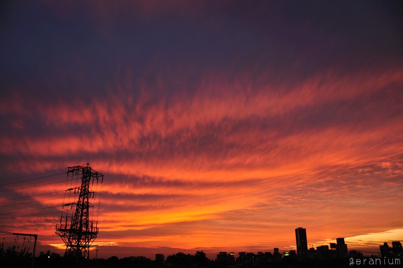 c0133533_2111430.jpg