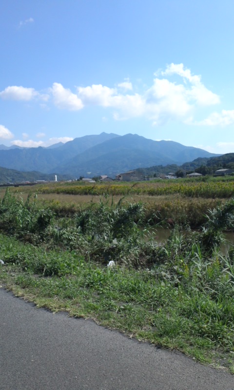 d0088735_2354522.jpg