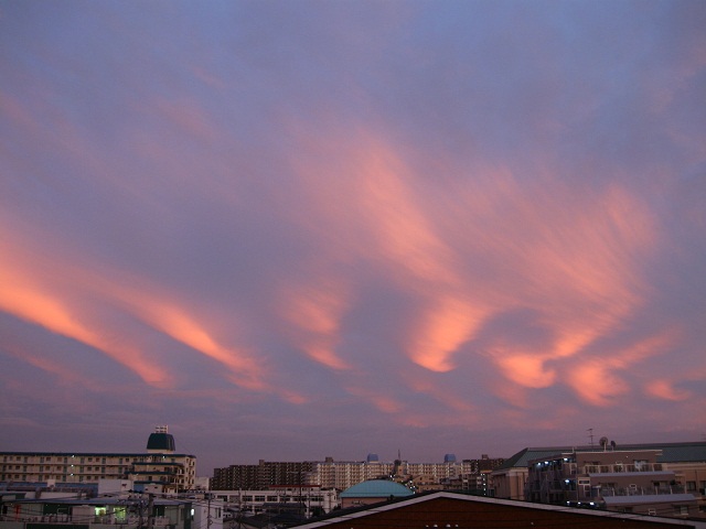 a0013236_2244552.jpg