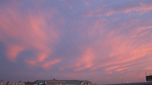 a0013236_224553.jpg