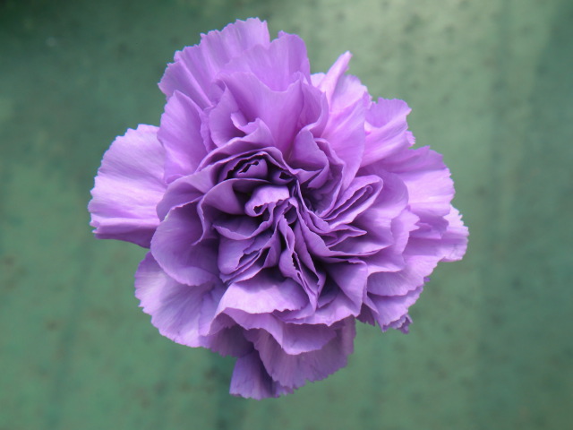 b0012636_13171834.jpg
