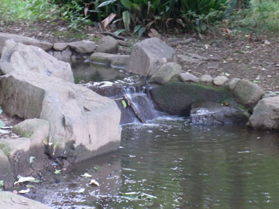b0019140_11232930.jpg