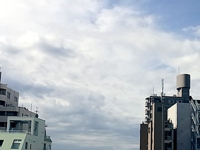 b0019140_11553233.jpg