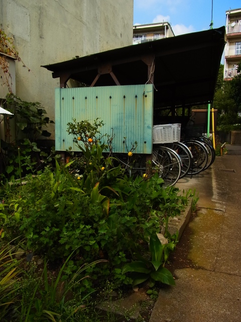 a0087341_14334011.jpg