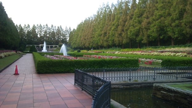 a0166550_274870.jpg