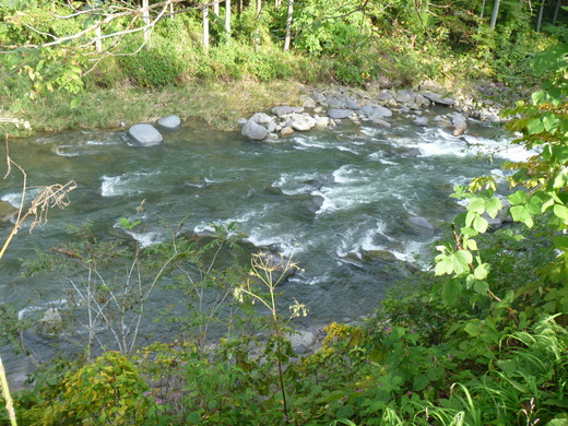 d0231858_633735.jpg
