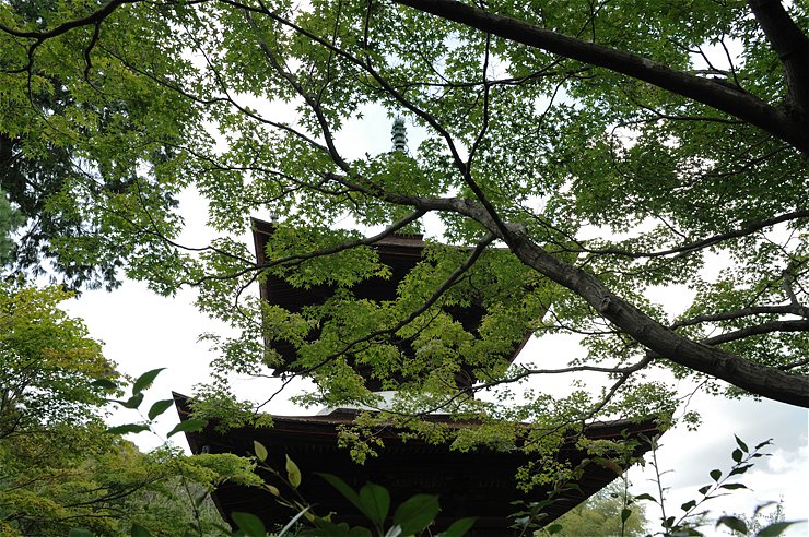 f0222161_13235134.jpg