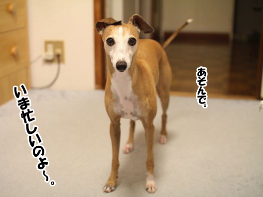 f0158862_0142521.jpg