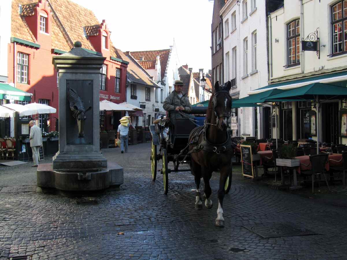 a0166264_01538.jpg
