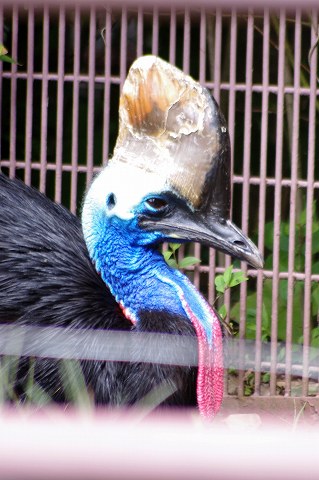 e0045768_2228342.jpg