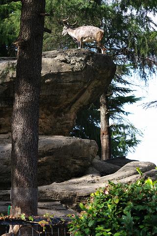 e0045768_22335920.jpg
