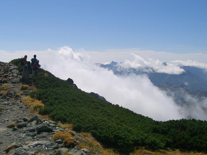 e0164571_918302.jpg