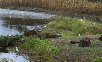 e0046474_13523467.jpg
