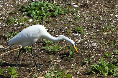 e0046474_13585022.jpg