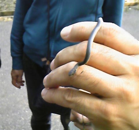 e0118274_2094771.jpg