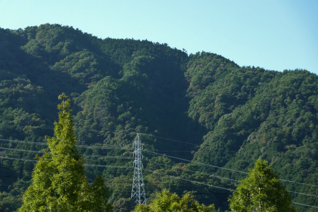 d0245378_15542761.jpg
