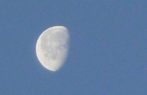 d0179983_2095490.jpg