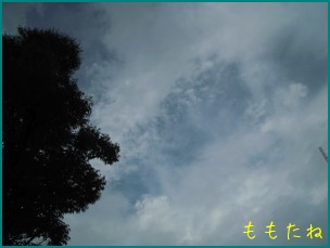 d0044986_22313891.jpg