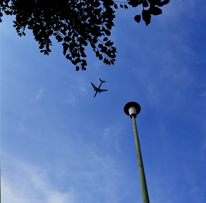 c0160387_773227.jpg