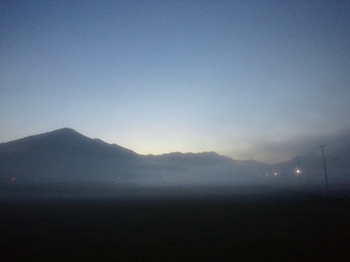 a0116490_1947996.jpg